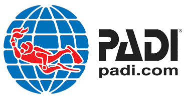 padi-logo-buartanfolyam